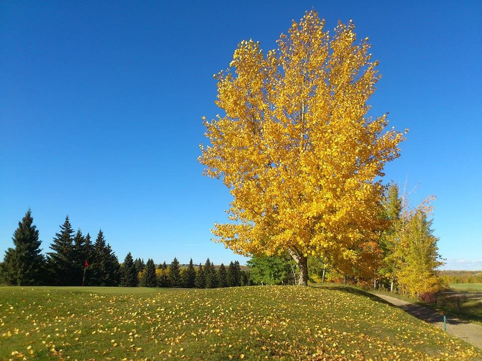 Spirit Creek Golf & Country Club-红鹿市必去景点