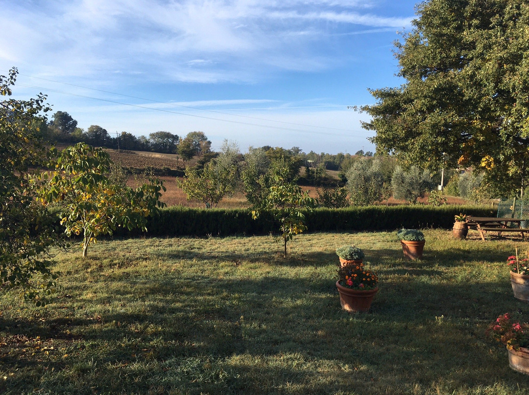 Agriturismo La Conserva主图