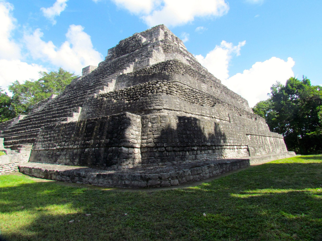 Zona Arqueologica De Chacchoben景点图片