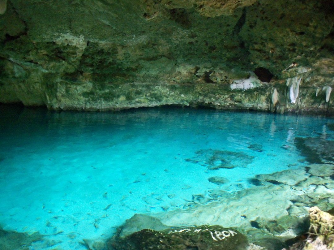 Cenote 7 Bocas