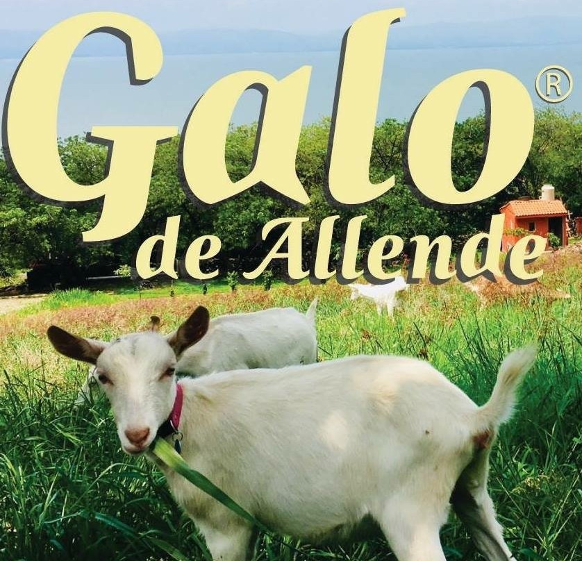 Galo de Allende景点图片