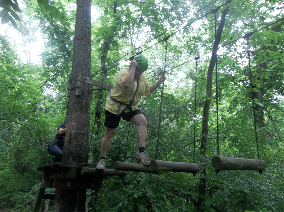 Adventure Creek Challenge Course, LLC景点图片