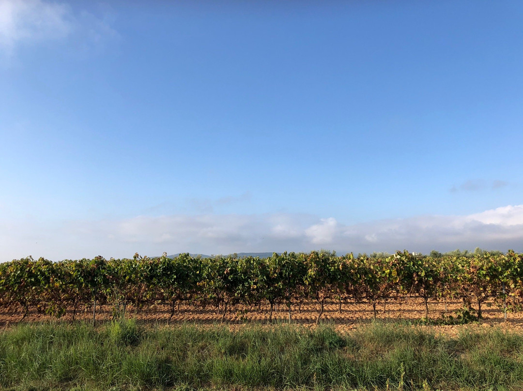 Hotel Rural Cal Ruget主图