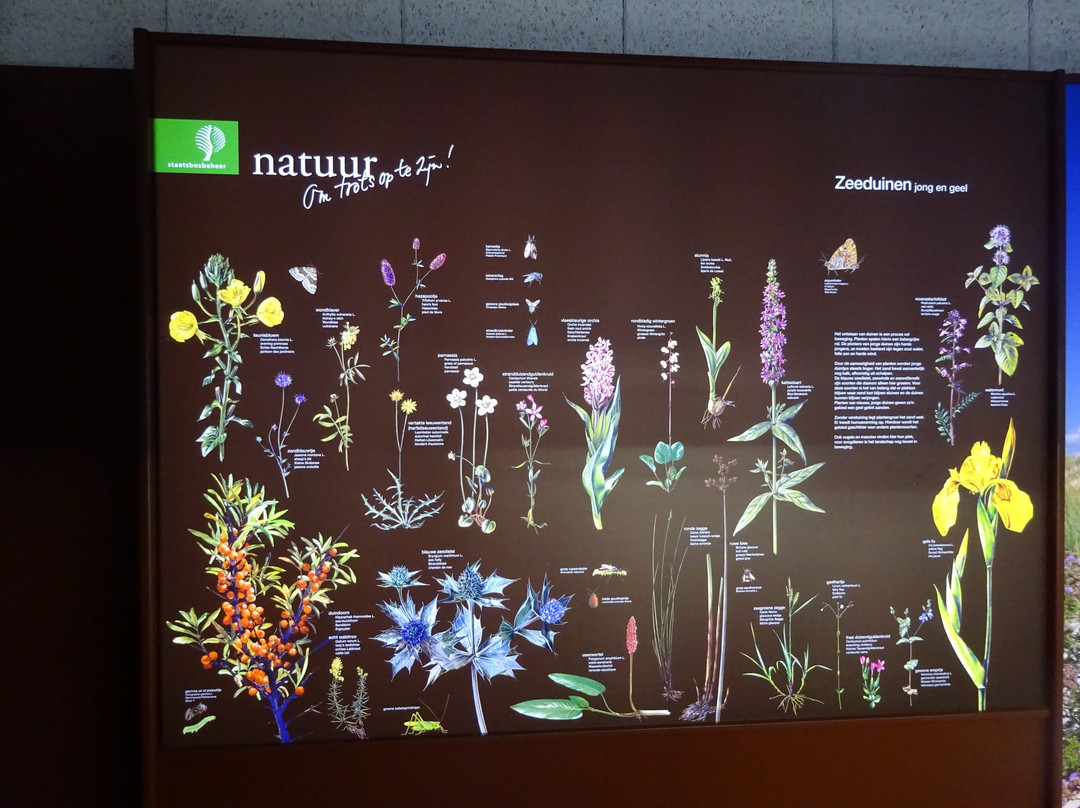 Centrum voor Natuur en Landschap-West-Terschelling必去景点