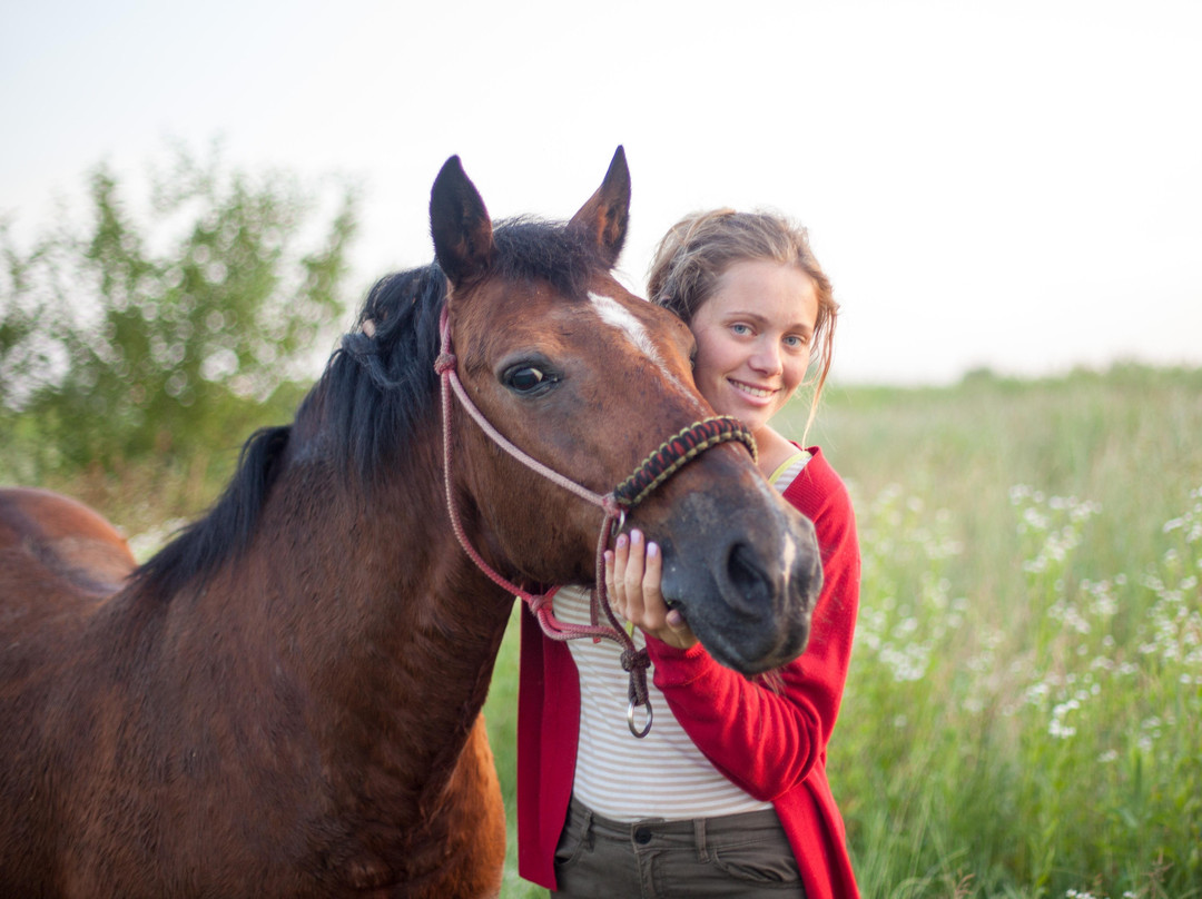 Horse riding club "Tempo"景点图片