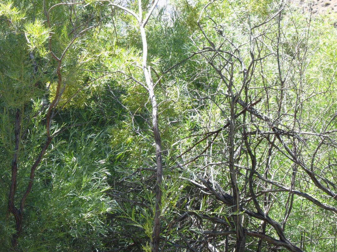 Verdi旅游景点-Oxbow Nature Study Area