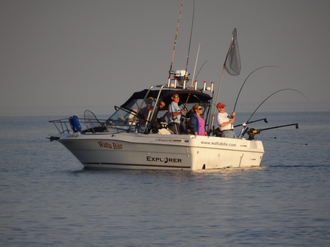 Watta Bite Charter Fishing景点图片