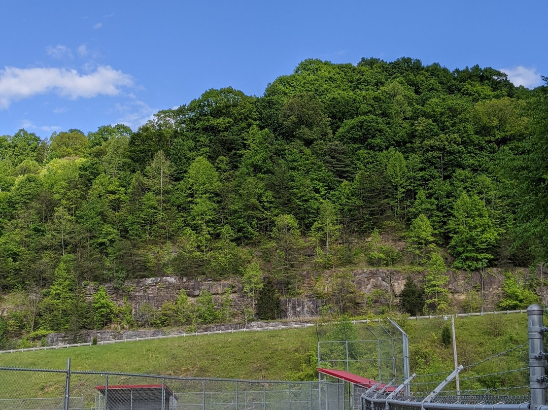 Dorton Community Park