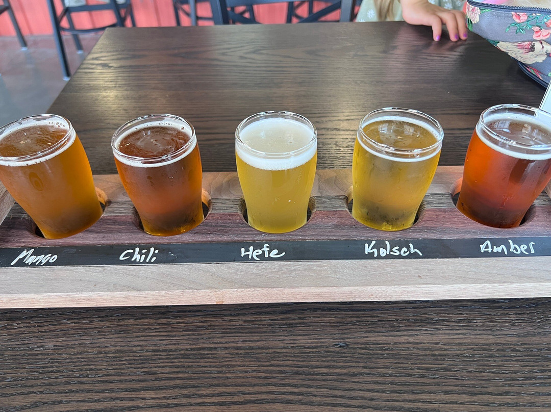 Full Fledged Brewing