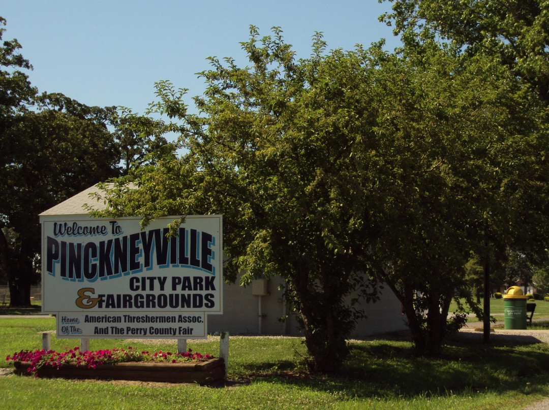 Pinckneyville City Park & Pool景点图片