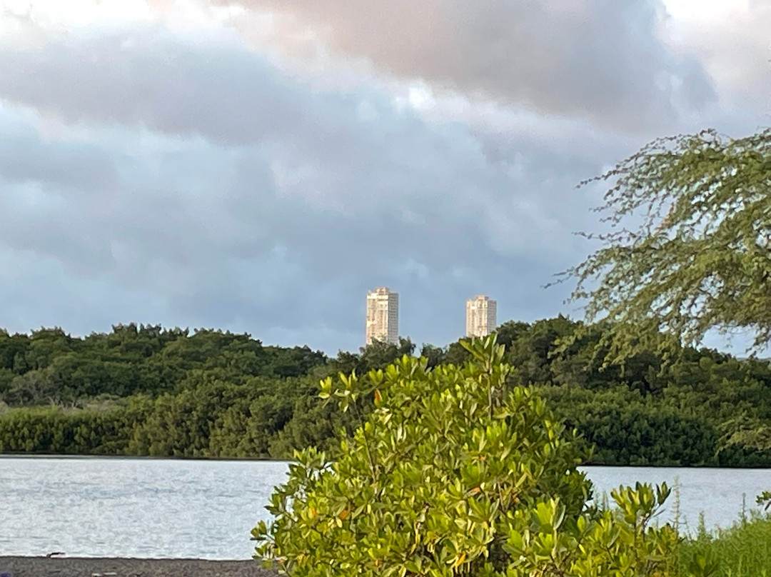Middle Loch Pearl City景点图片