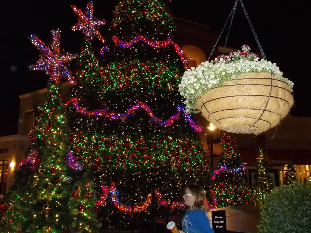 卫斯理堂旅游景点-The shops at Wiregrass