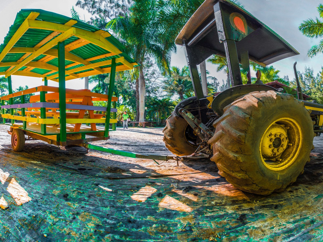 Pinto's Farm-迈阿密必去景点