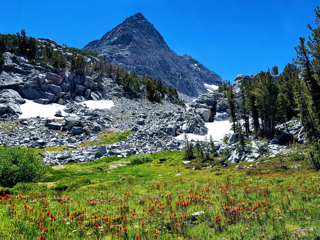 Little Lakes Valley Trail-毕晓普必去景点