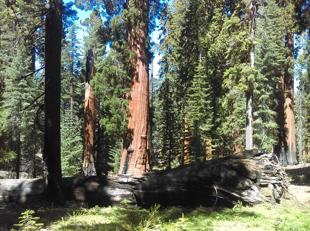 Guardians Loop Trail-优胜美地国家公园必去景点