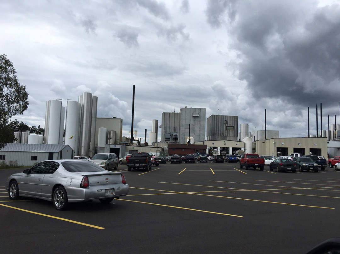 Stratford旅游景点-Mullins Cheese