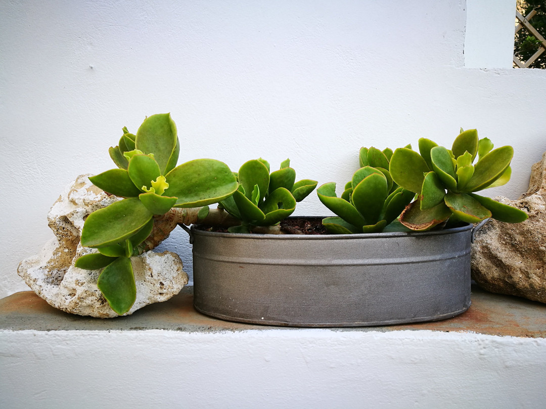 Domatia Me Thea主图