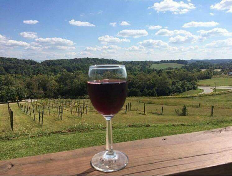 Tennessee Valley Winery景点图片