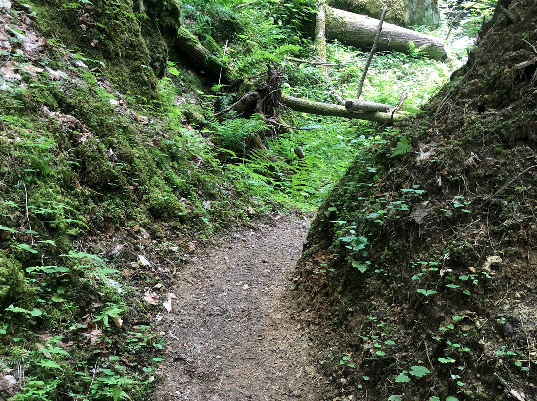 Adirondack Park景点图片