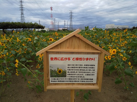 Hana no Oasis-鸿巢市必去景点