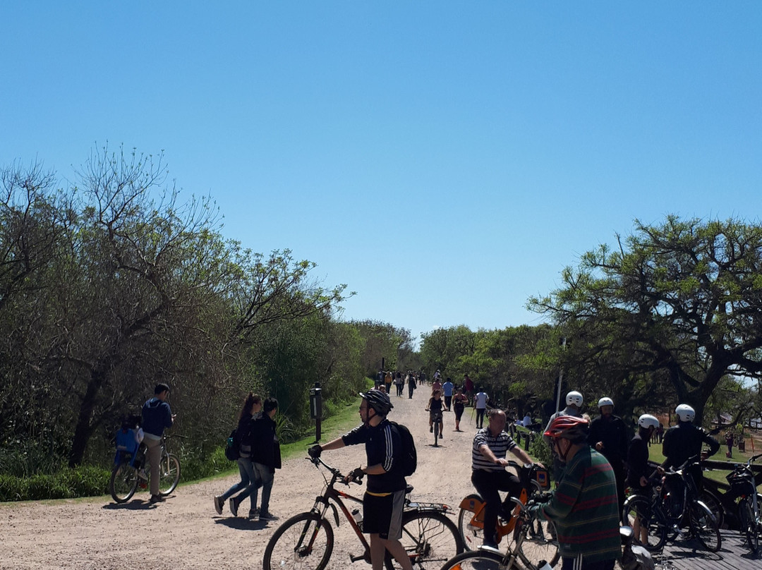 Reserva Ecológica Costanera Sur景点图片