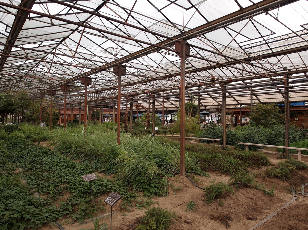 Otaki Herb Garden-大多喜町必去景点