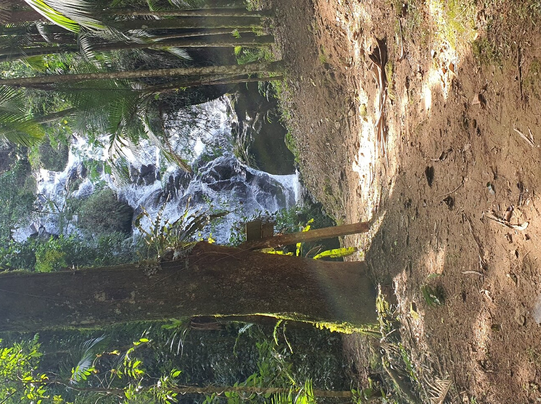 Cachoeira Santa Bárbara