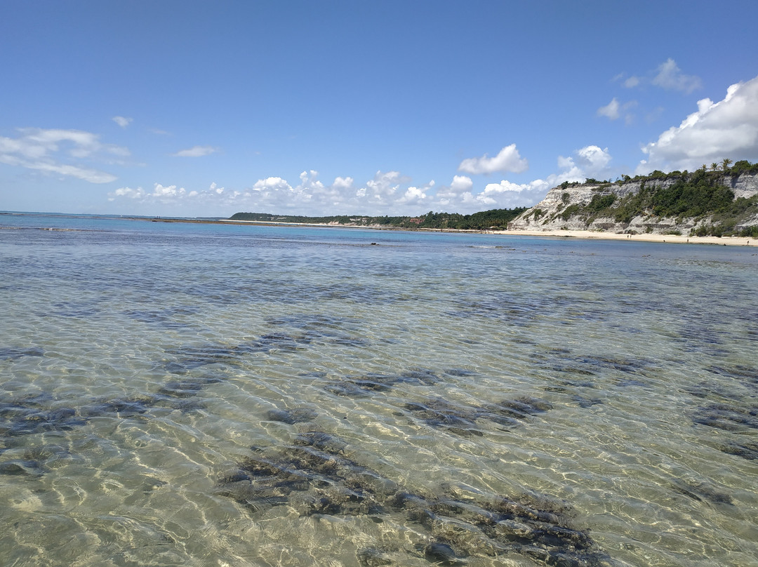 Arraial Trip Experience-Arraial d'Ajuda必去景点