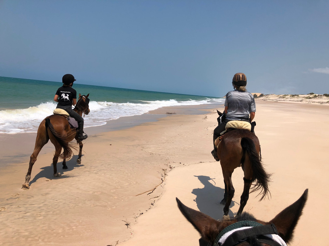 Mozambique Horse Safari景点图片