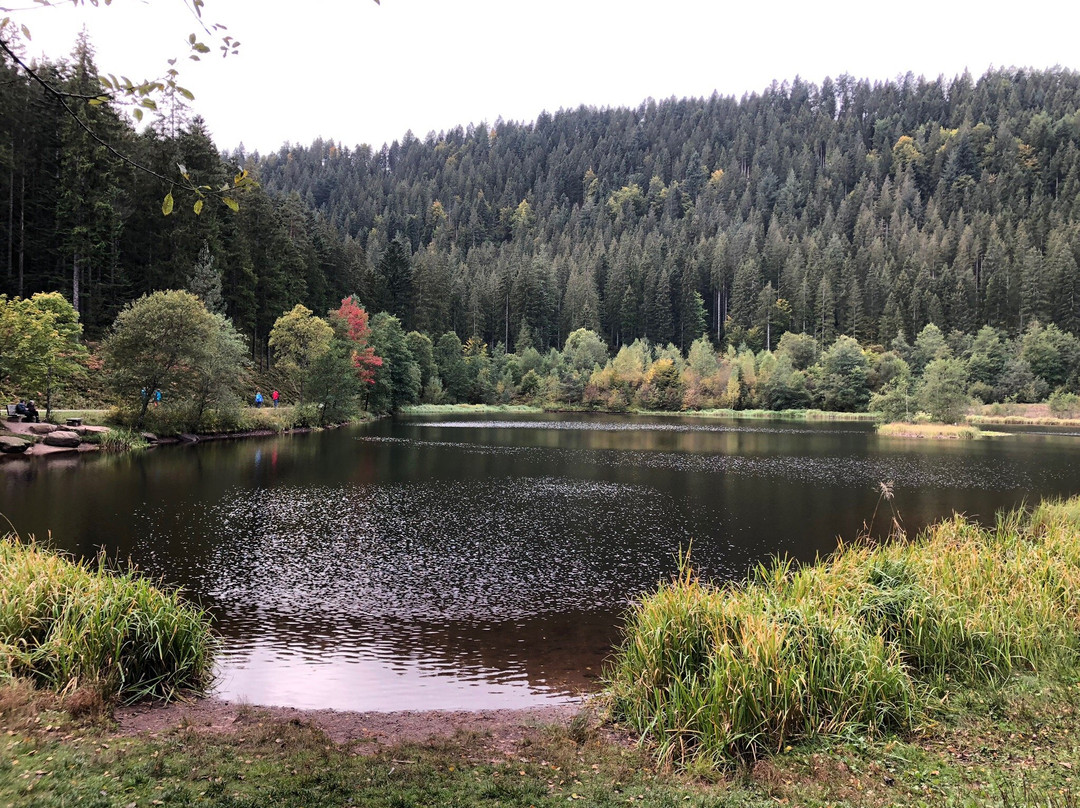 Sankenbachwasserfalle-拜尔斯布龙必去景点
