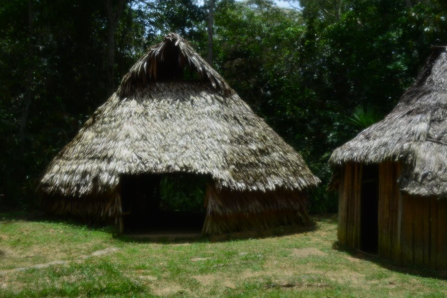 Parque Ecologico Mundo Amazonico景点图片