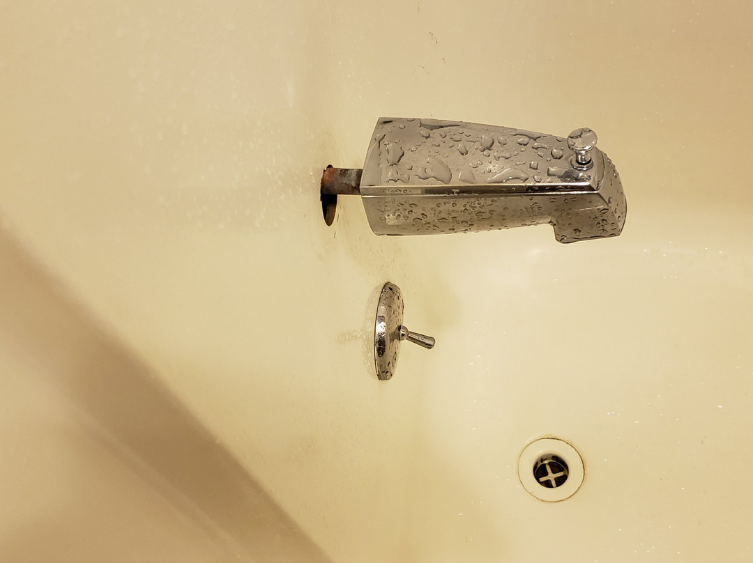 The Atomic Inn主图