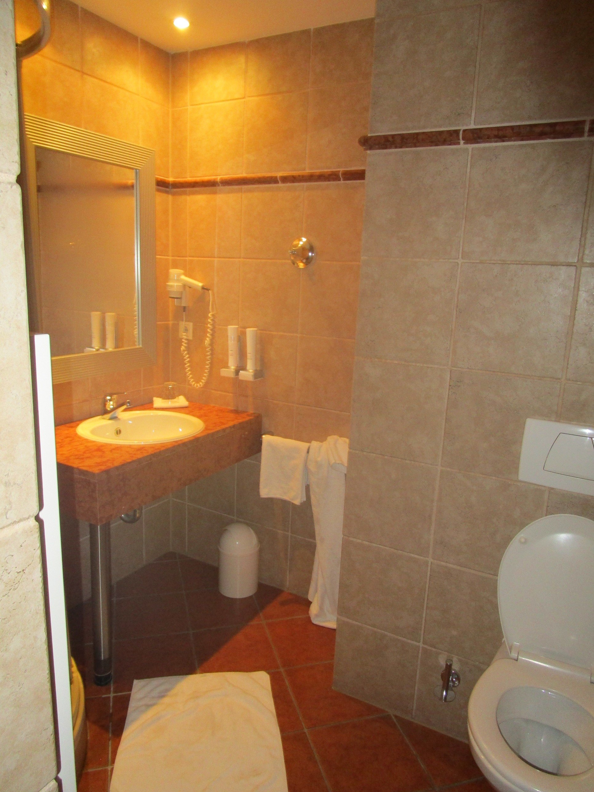 Hotel Manchinger Hof-浴室