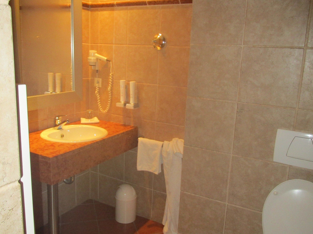 Hotel Manchinger Hof主图