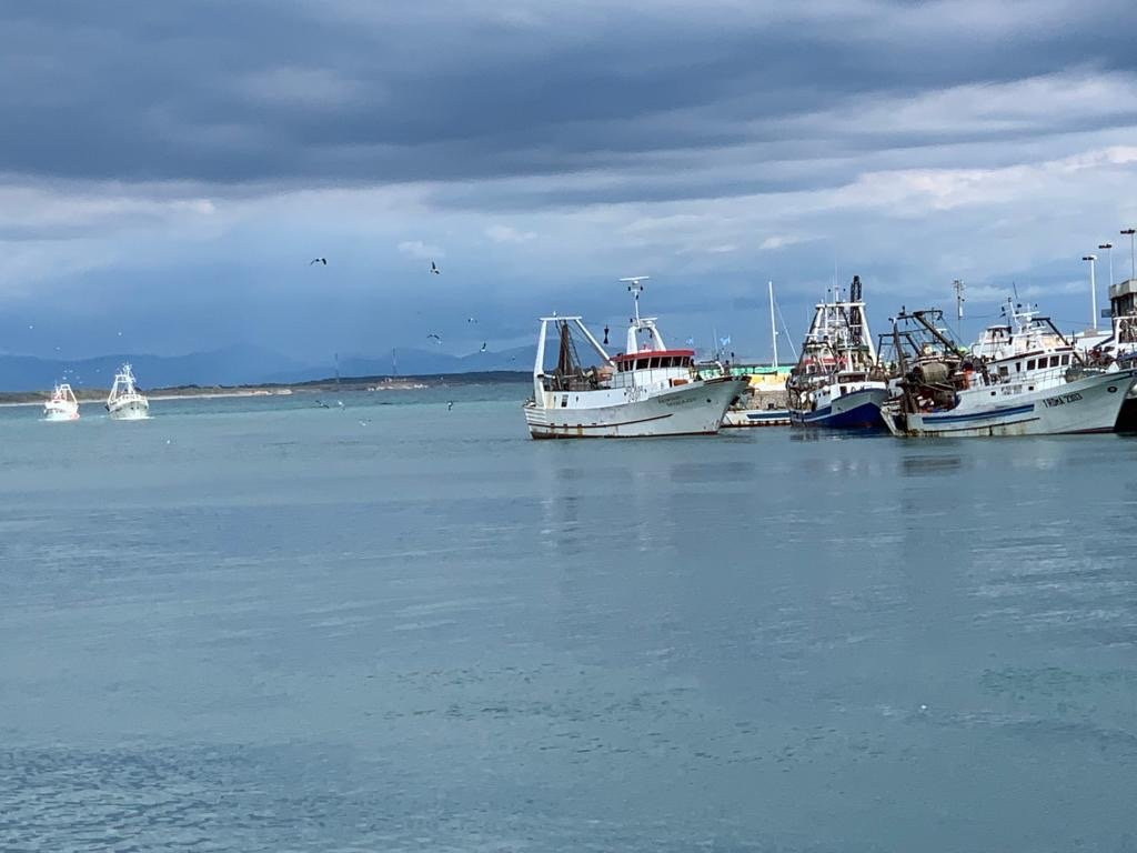 Porto di Anzio-安济奥必去景点