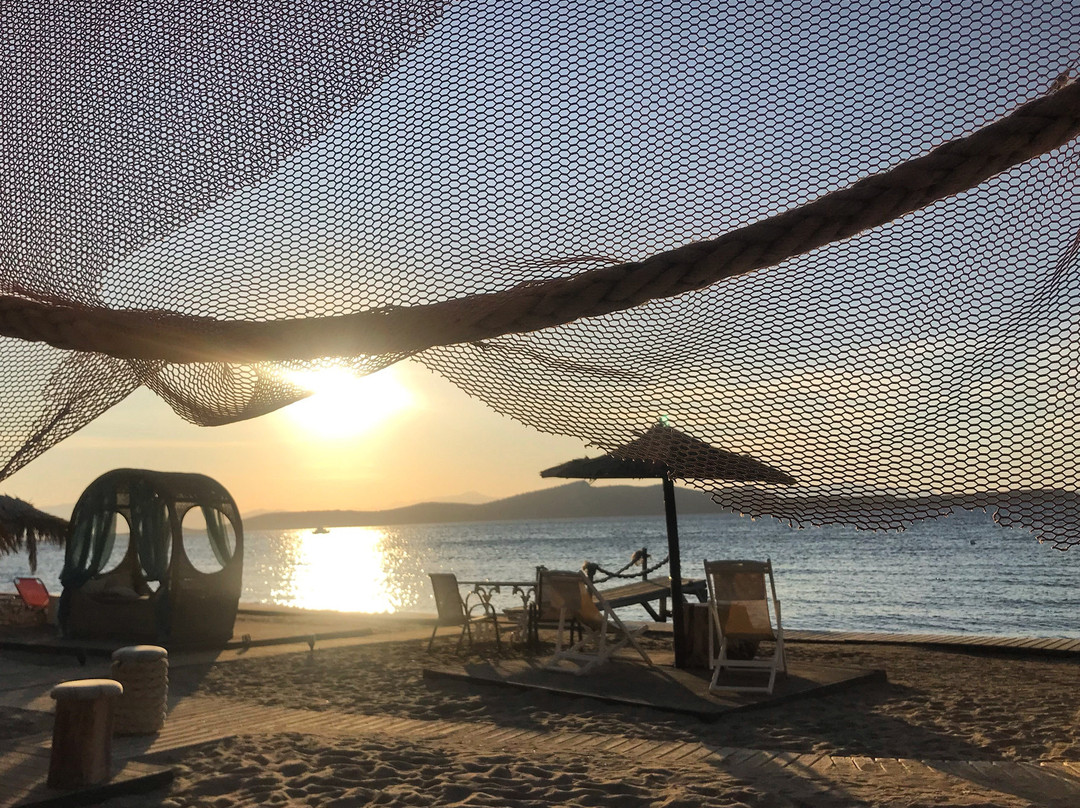 Venus Beach Hotel主图