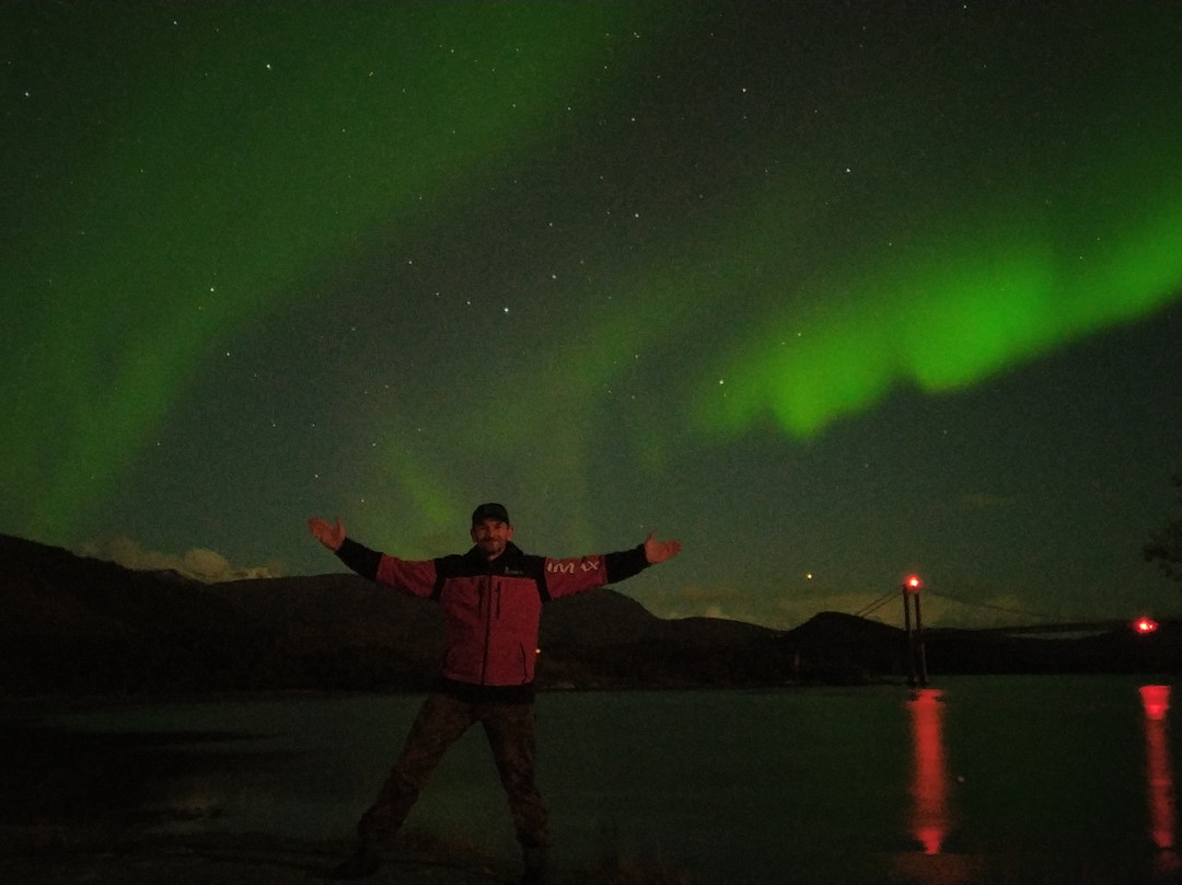 Kjellingstraumen Fjordcamp主图