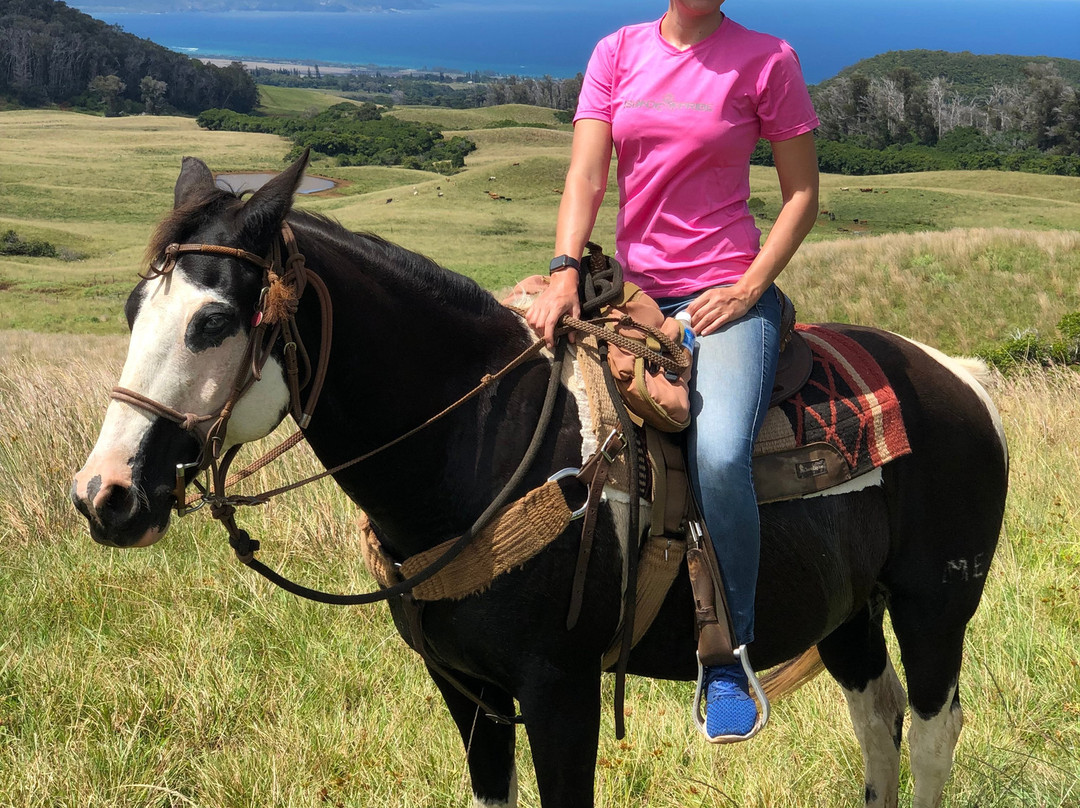 Piiholo Ranch Horseback-马卡瓦必去景点