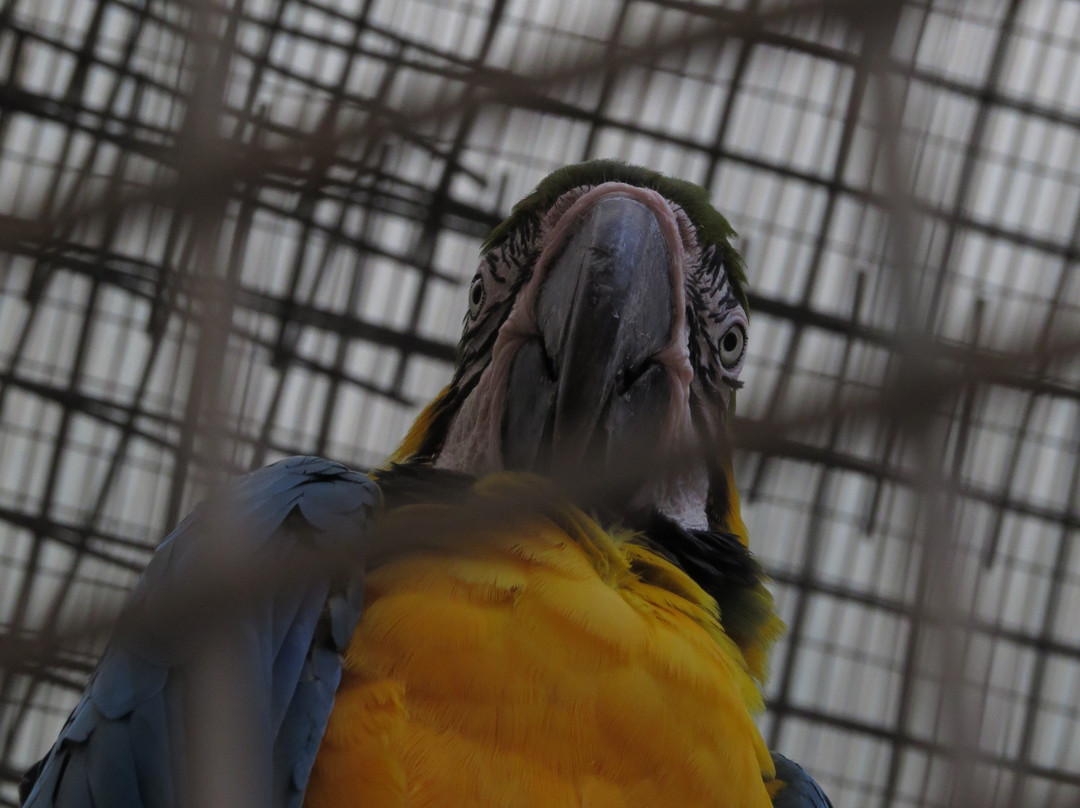 Petah Tikva Zoo-Petah Tiqwa必去景点