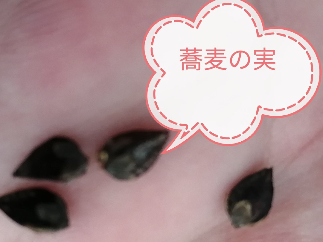 Kisomanosato-木曾町必去景点