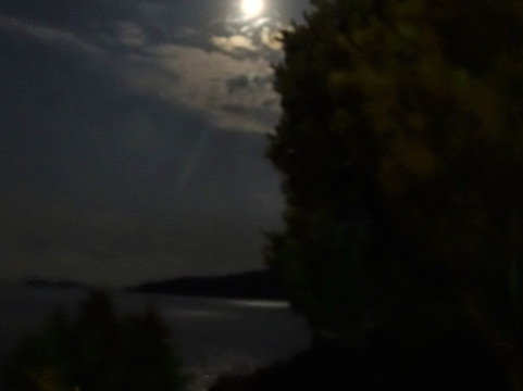 Kulube Hotel kalkan主图