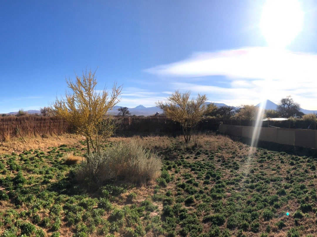 Sami Atacama Lodge主图