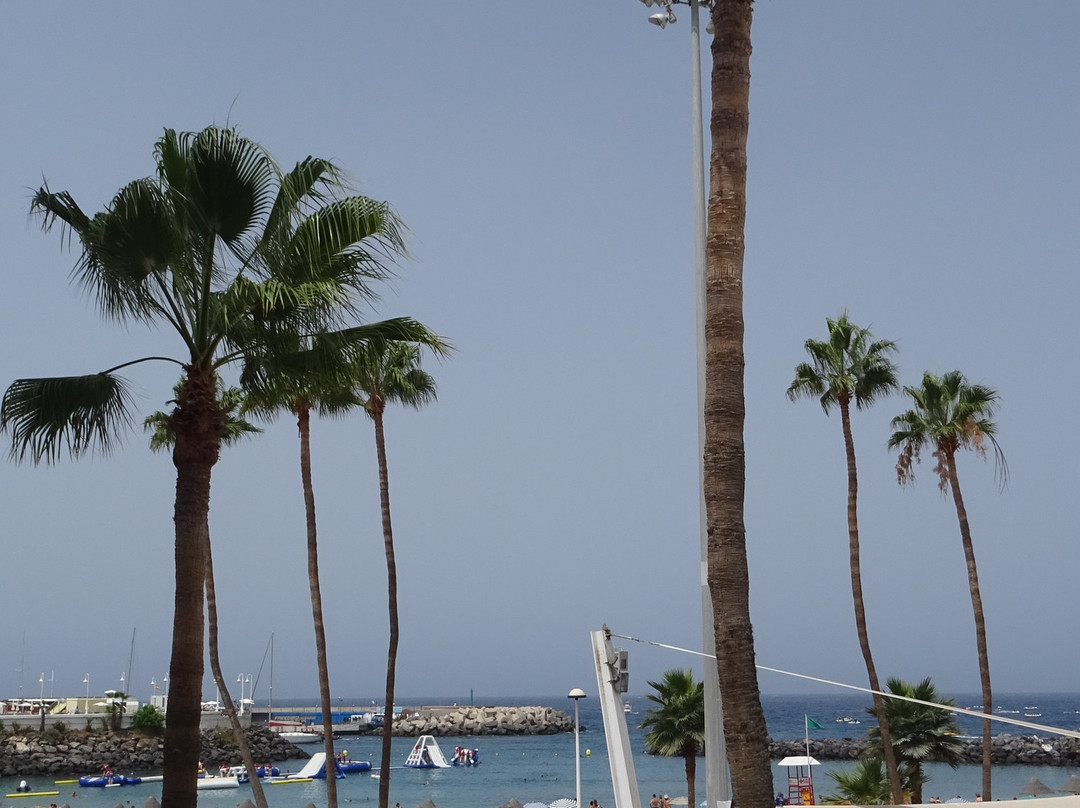 Playa De Puerto Colon-奥德杰海岸必去景点