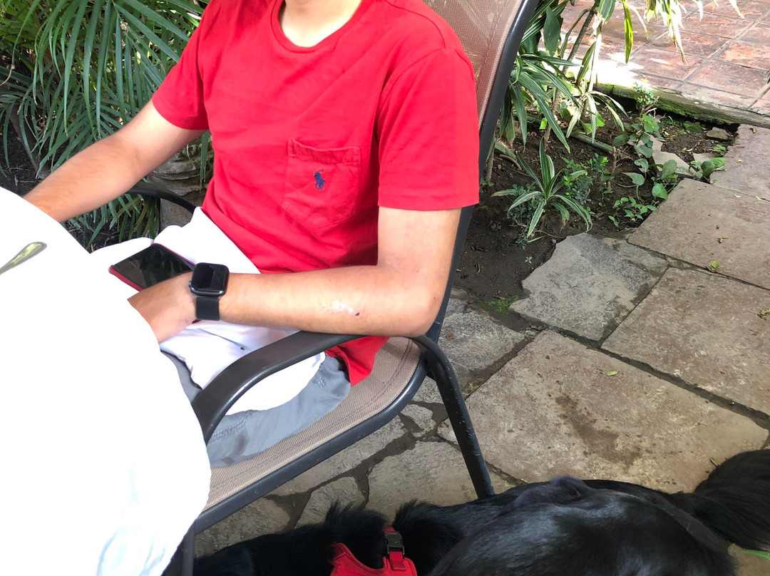 Villa Ganz Hotel Boutique主图