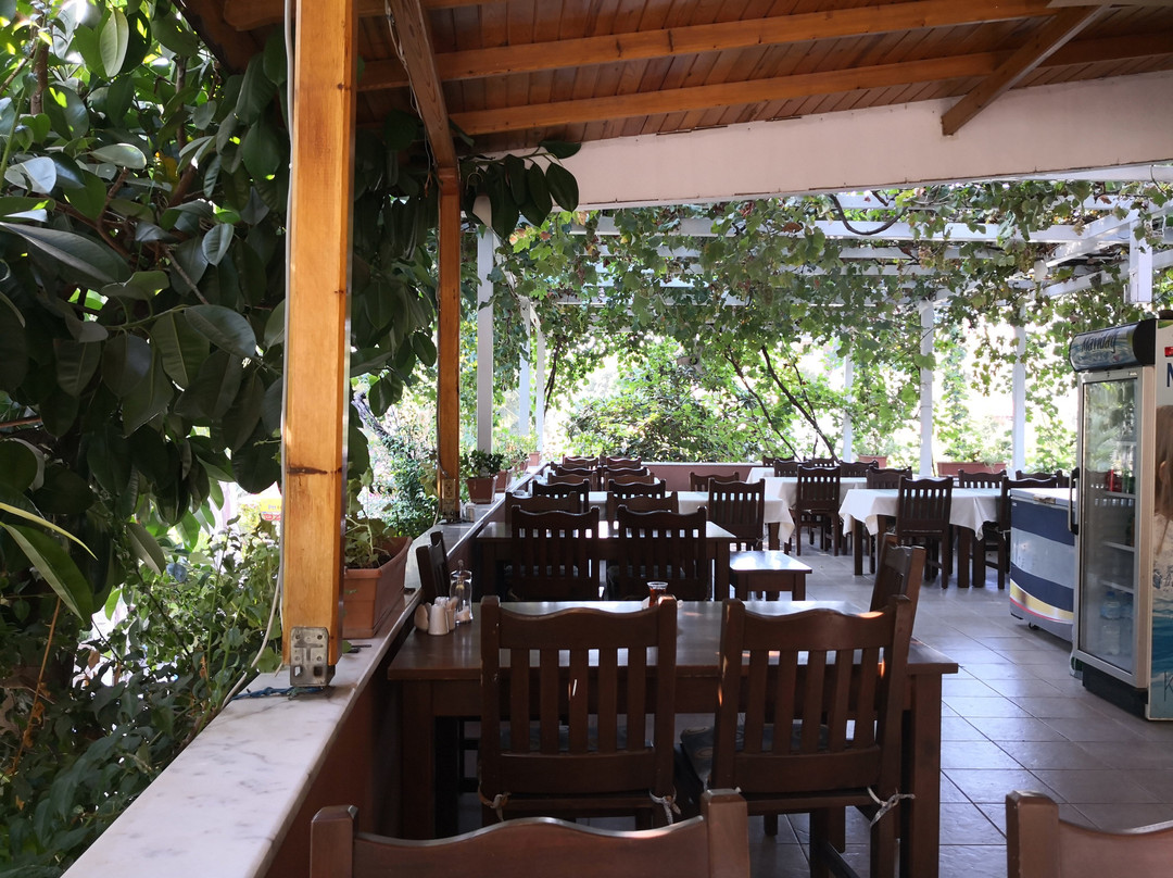 Patara Golden Pension主图