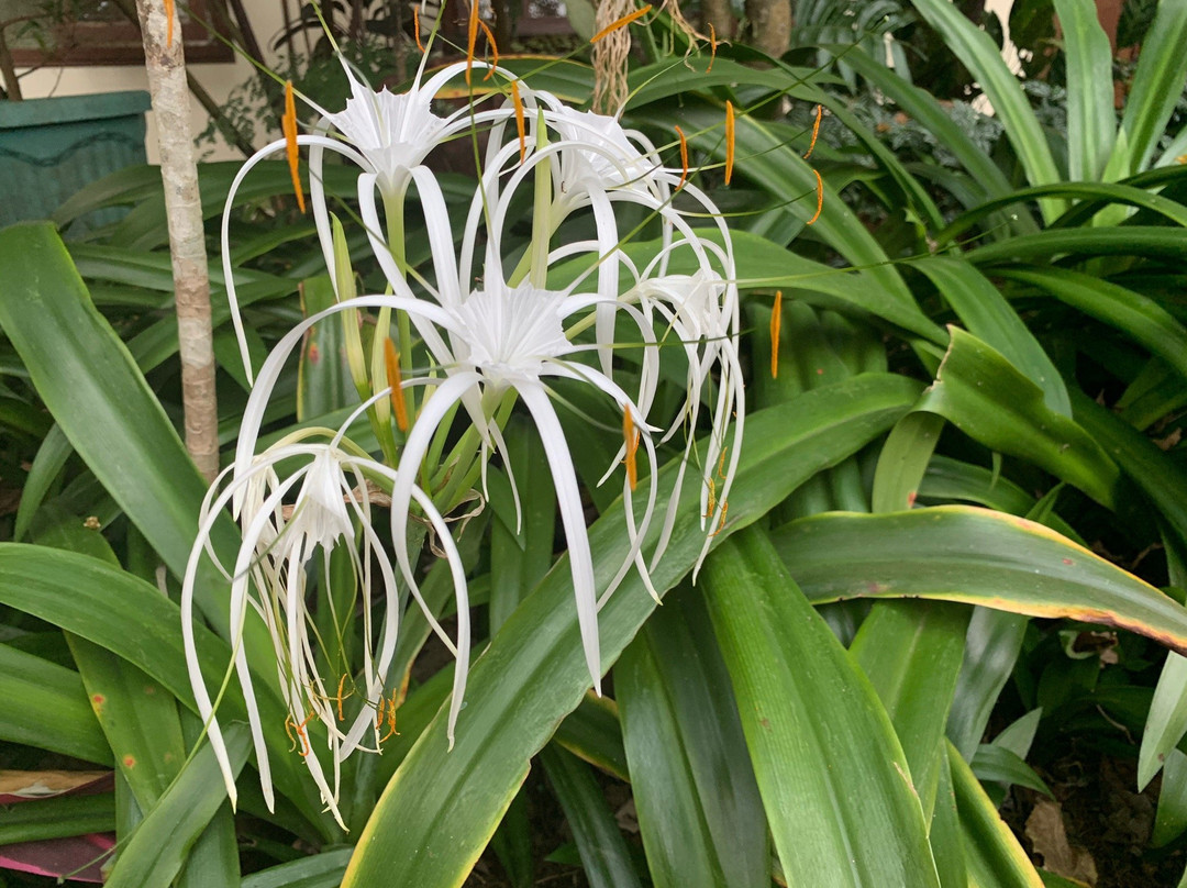 GG House - Happy Valley主图