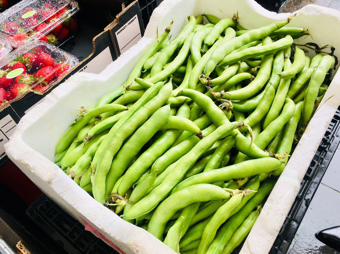 Bondi Markets景点图片