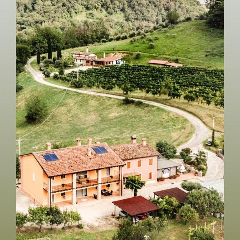 La Vigna Fiorita B&B-官方