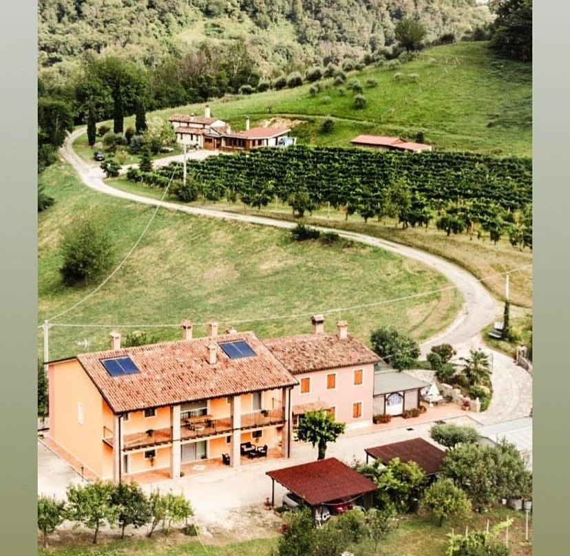 La Vigna Fiorita B&B主图