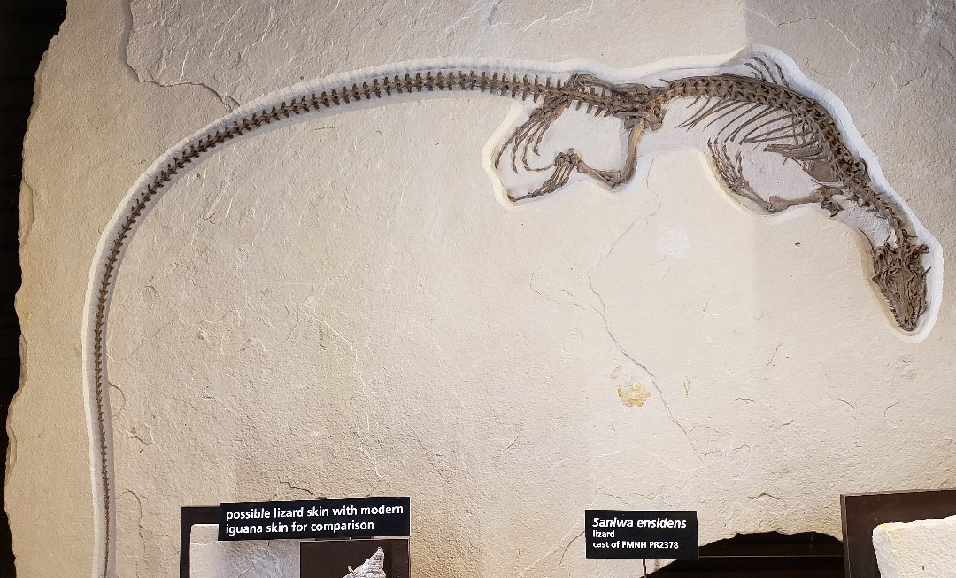 Fossil Butte National Monument-Kemmerer必去景点